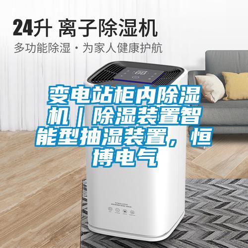 變電站柜內(nèi)除濕機｜除濕裝置智能型抽濕裝置，恒博電氣