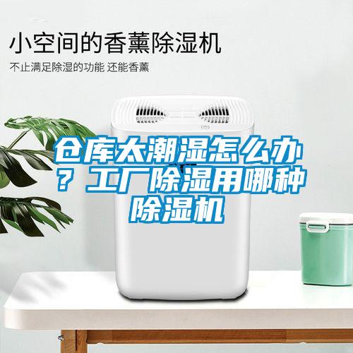 倉(cāng)庫(kù)太潮濕怎么辦？工廠除濕用哪種除濕機(jī)