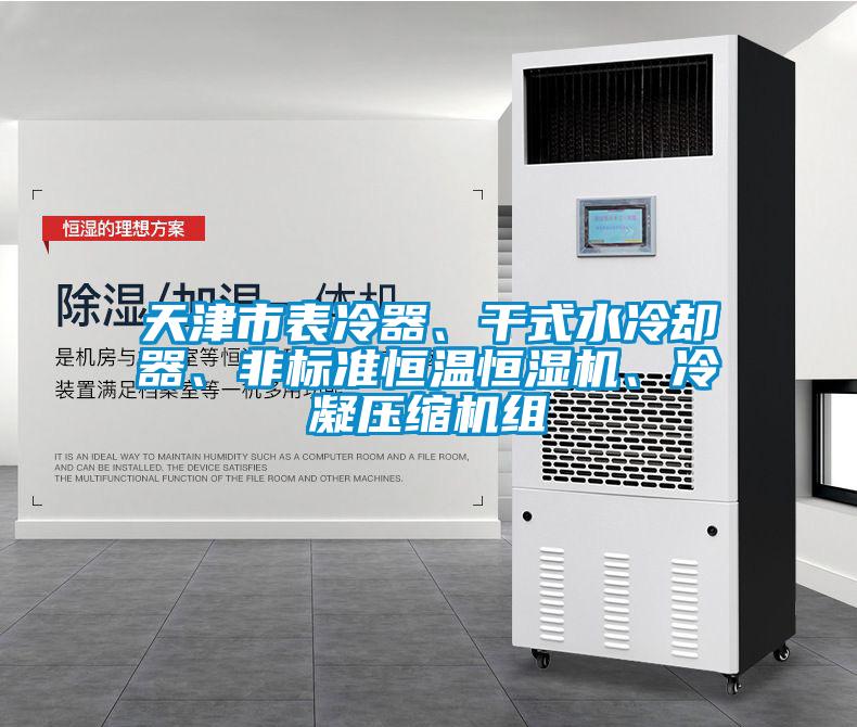天津市表冷器、干式水冷卻器、非標(biāo)準(zhǔn)恒溫恒濕機(jī)、冷凝壓縮機(jī)組