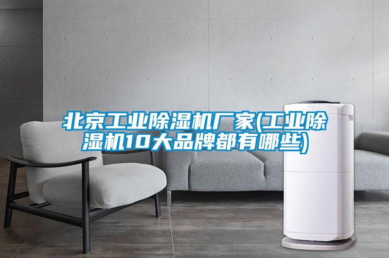 北京工業(yè)除濕機(jī)廠家(工業(yè)除濕機(jī)10大品牌都有哪些)