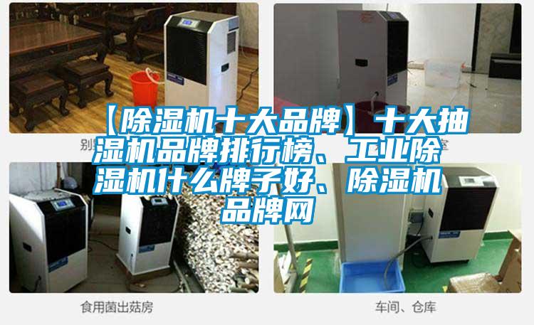 【除濕機(jī)十大品牌】十大抽濕機(jī)品牌排行榜、工業(yè)除濕機(jī)什么牌子好、除濕機(jī)品牌網(wǎng)