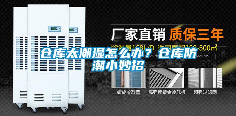 倉庫太潮濕怎么辦？倉庫防潮小妙招
