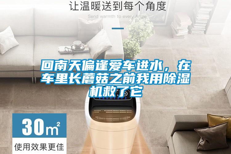 回南天偏逢愛車進(jìn)水，在車?yán)镩L蘑菇之前我用除濕機(jī)救了它