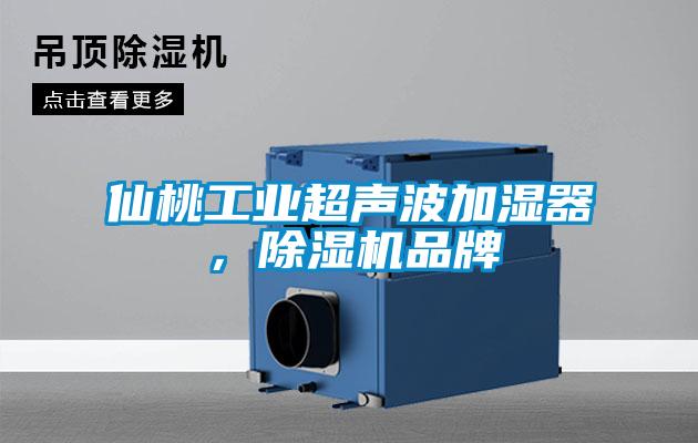 仙桃工業(yè)超聲波加濕器，除濕機品牌
