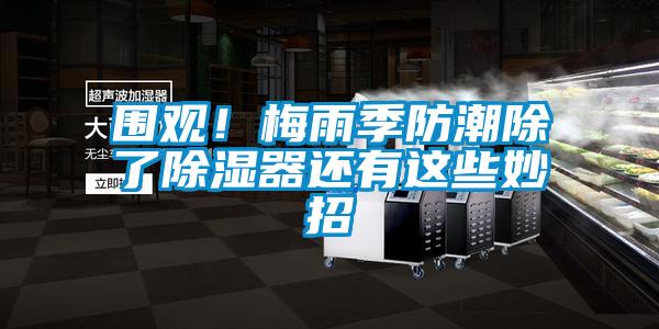 圍觀！梅雨季防潮除了除濕器還有這些妙招