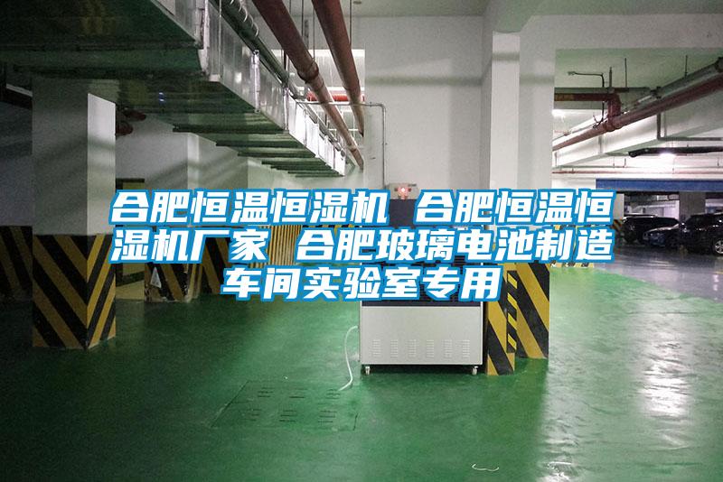 合肥恒溫恒濕機(jī) 合肥恒溫恒濕機(jī)廠家 合肥玻璃電池制造車間實(shí)驗(yàn)室專用