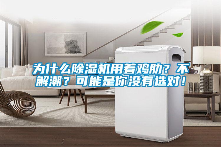 為什么除濕機(jī)用著雞肋？不解潮？可能是你沒有選對(duì)！