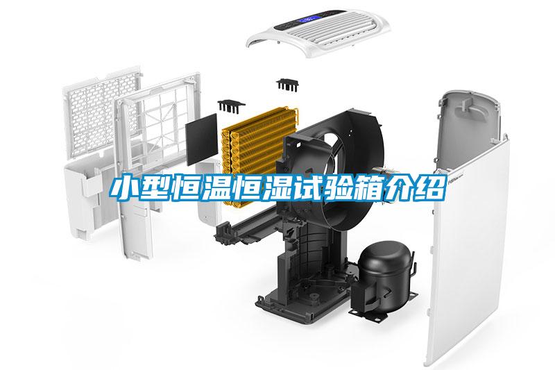 小型恒溫恒濕試驗(yàn)箱介紹