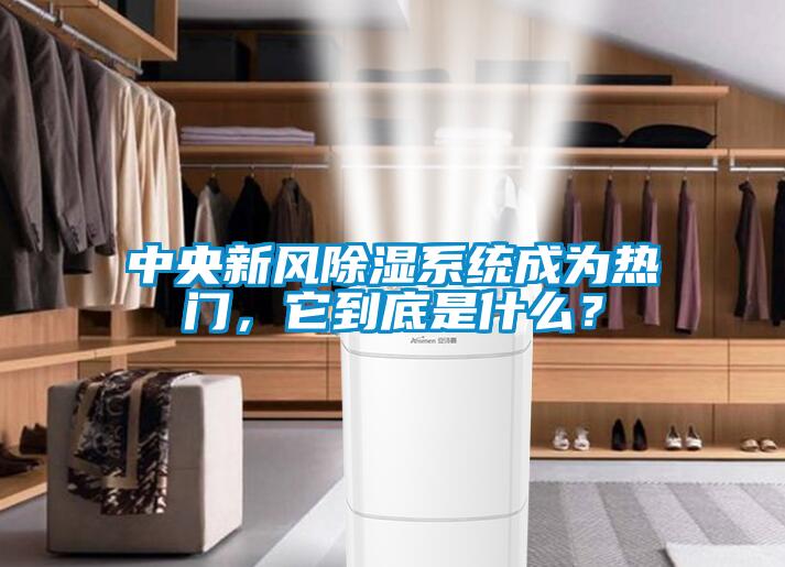 中央新風(fēng)除濕系統(tǒng)成為熱門，它到底是什么？