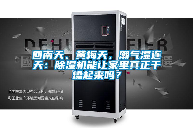 回南天、黃梅天，潮氣濕連天：除濕機能讓家里真正干燥起來嗎？