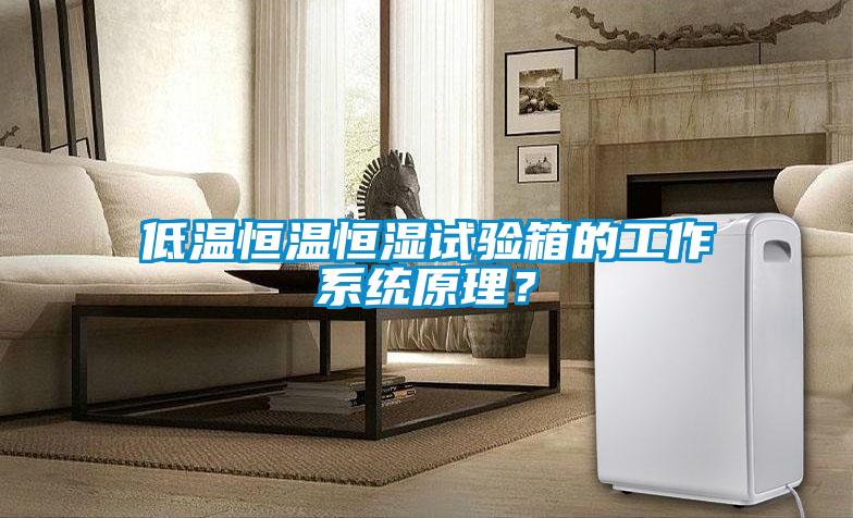 低溫恒溫恒濕試驗(yàn)箱的工作系統(tǒng)原理？