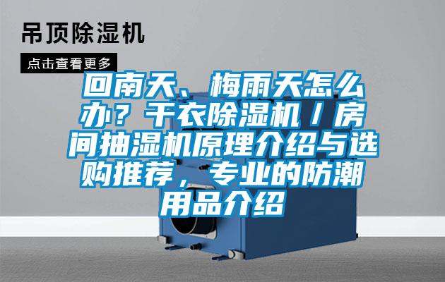 回南天、梅雨天怎么辦？干衣除濕機(jī)／房間抽濕機(jī)原理介紹與選購(gòu)?fù)扑]，專業(yè)的防潮用品介紹