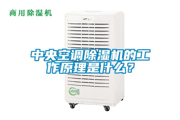中央空調(diào)除濕機(jī)的工作原理是什么？