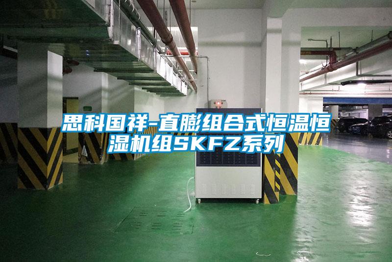 思科國祥-直膨組合式恒溫恒濕機(jī)組SKFZ系列