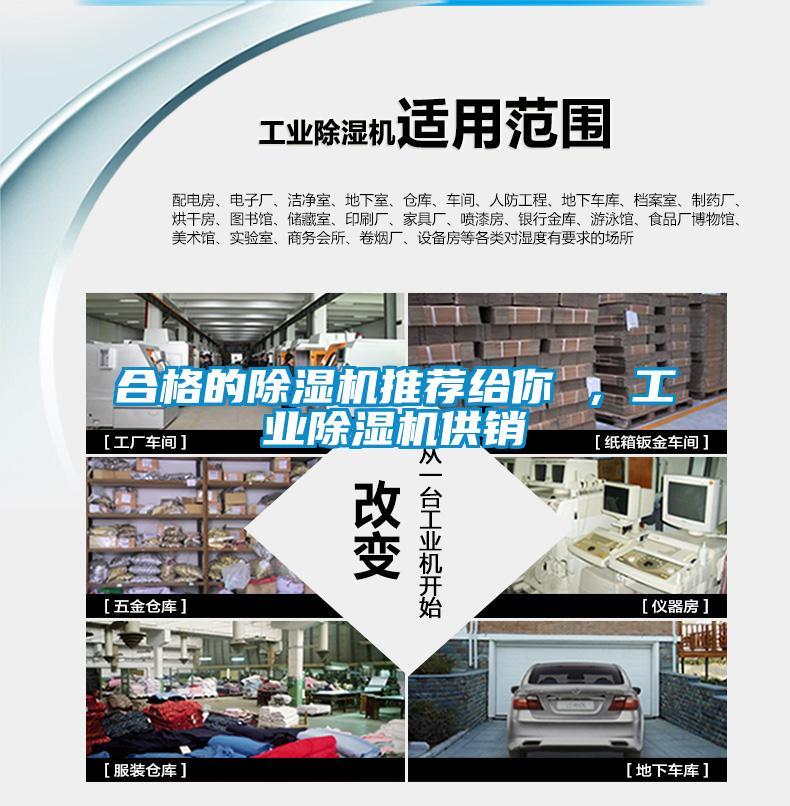 合格的除濕機(jī)推薦給你 ，工業(yè)除濕機(jī)供銷