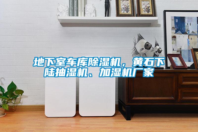 地下室車庫(kù)除濕機(jī)，黃石下陸抽濕機(jī)、加濕機(jī)廠家