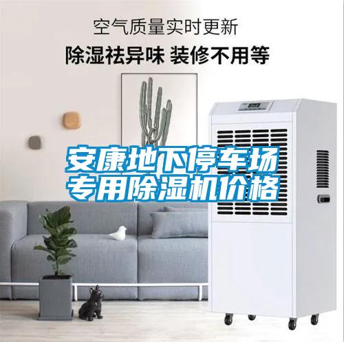 安康地下停車(chē)場(chǎng)專(zhuān)用除濕機(jī)價(jià)格