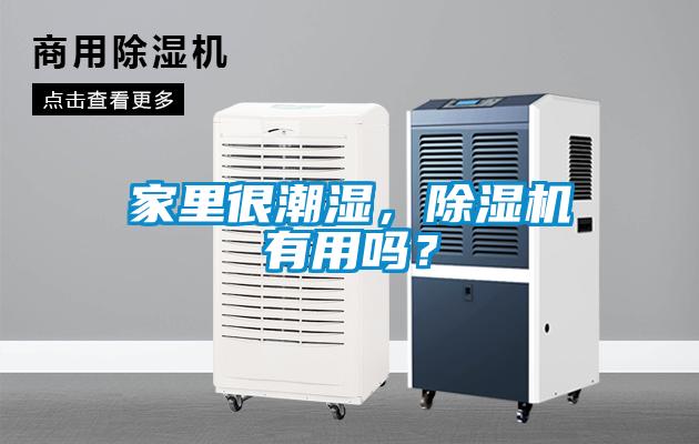 家里很潮濕，除濕機(jī)有用嗎？