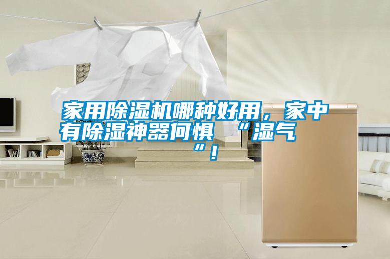 家用除濕機哪種好用，家中有除濕神器何懼 “濕氣 “！