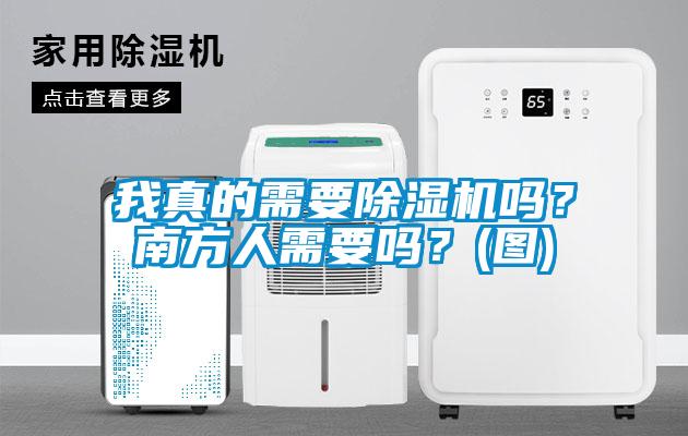 我真的需要除濕機(jī)嗎？南方人需要嗎？(圖)