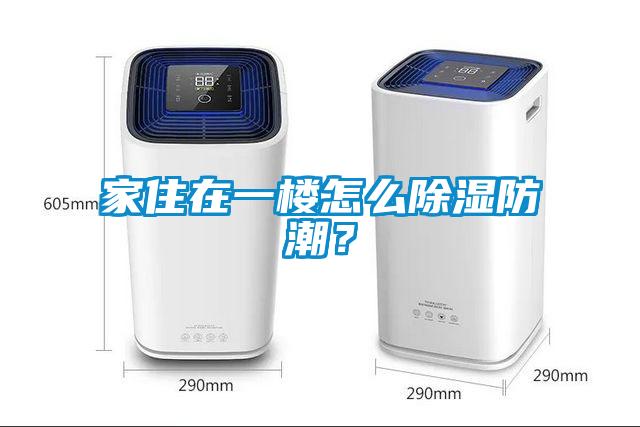 家住在一樓怎么除濕防潮？