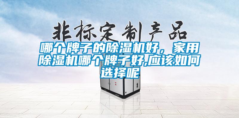 哪個(gè)牌子的除濕機(jī)好，家用除濕機(jī)哪個(gè)牌子好,應(yīng)該如何選擇呢