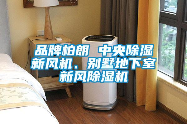 品牌柏朗 中央除濕新風(fēng)機、別墅地下室新風(fēng)除濕機