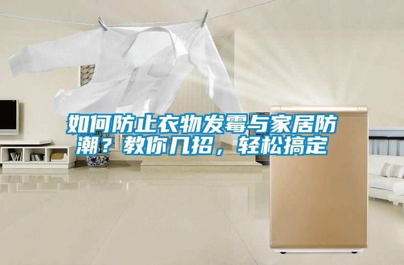 如何防止衣物發(fā)霉與家居防潮？教你幾招，輕松搞定