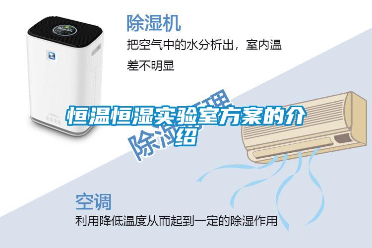 恒溫恒濕實(shí)驗(yàn)室方案的介紹