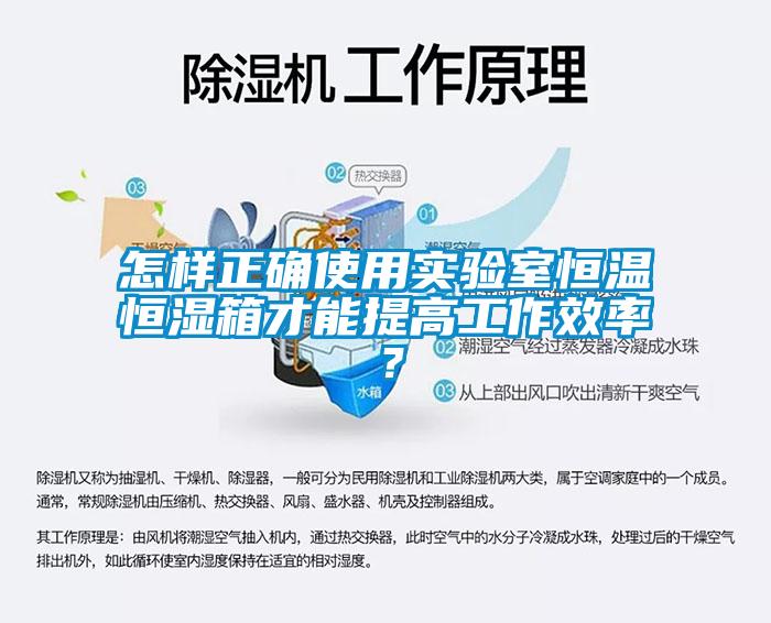 怎樣正確使用實驗室恒溫恒濕箱才能提高工作效率？