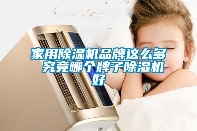 家用除濕機(jī)品牌這么多 究竟哪個(gè)牌子除濕機(jī)好