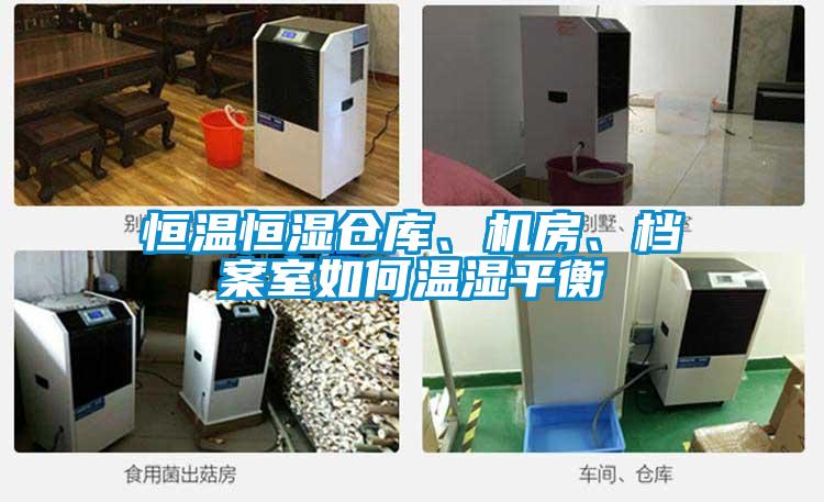 恒溫恒濕倉庫、機(jī)房、檔案室如何溫濕平衡