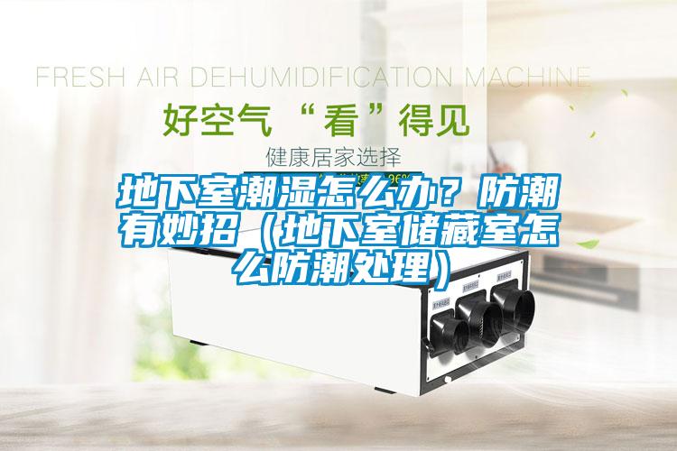 地下室潮濕怎么辦？防潮有妙招（地下室儲(chǔ)藏室怎么防潮處理）