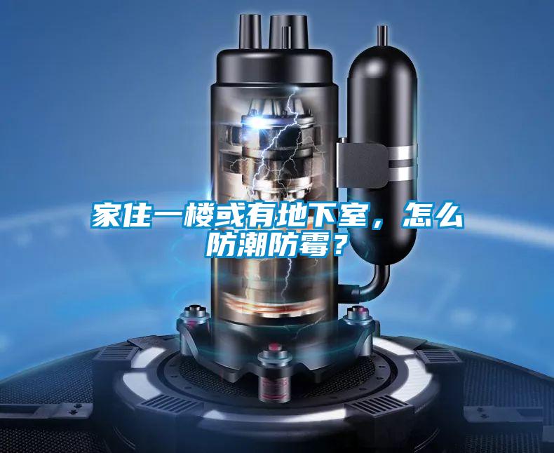 家住一樓或有地下室，怎么防潮防霉？