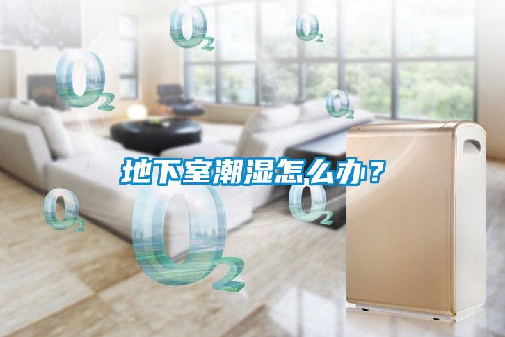 地下室潮濕怎么辦？
