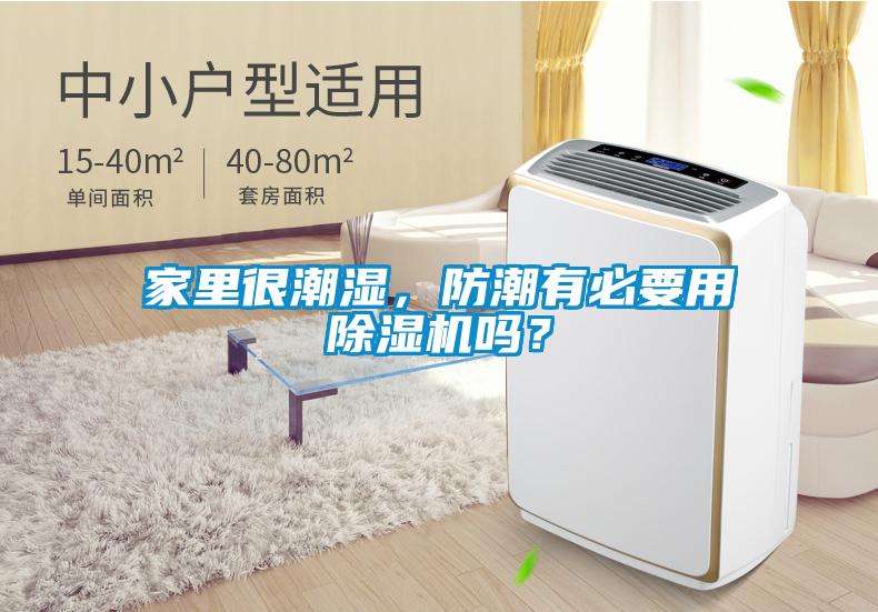 家里很潮濕，防潮有必要用除濕機嗎？