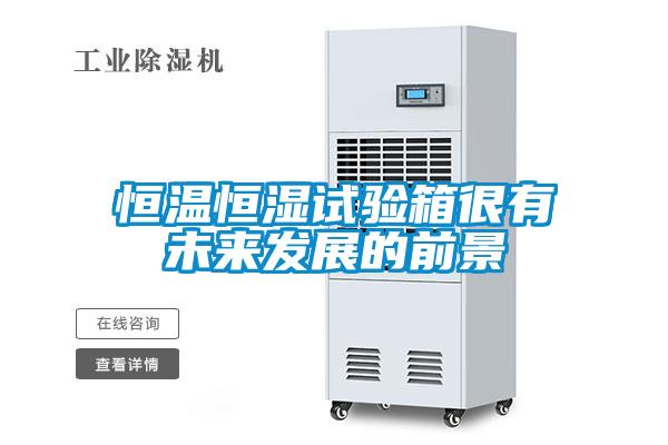 恒溫恒濕試驗(yàn)箱很有未來(lái)發(fā)展的前景