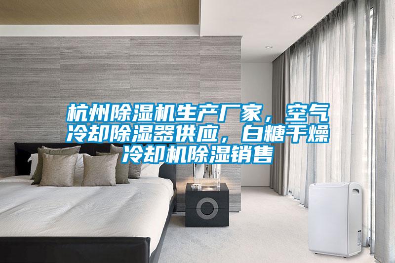 杭州除濕機生產(chǎn)廠家，空氣冷卻除濕器供應，白糖干燥冷卻機除濕銷售