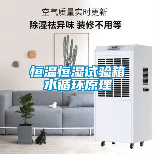 恒溫恒濕試驗(yàn)箱水循環(huán)原理