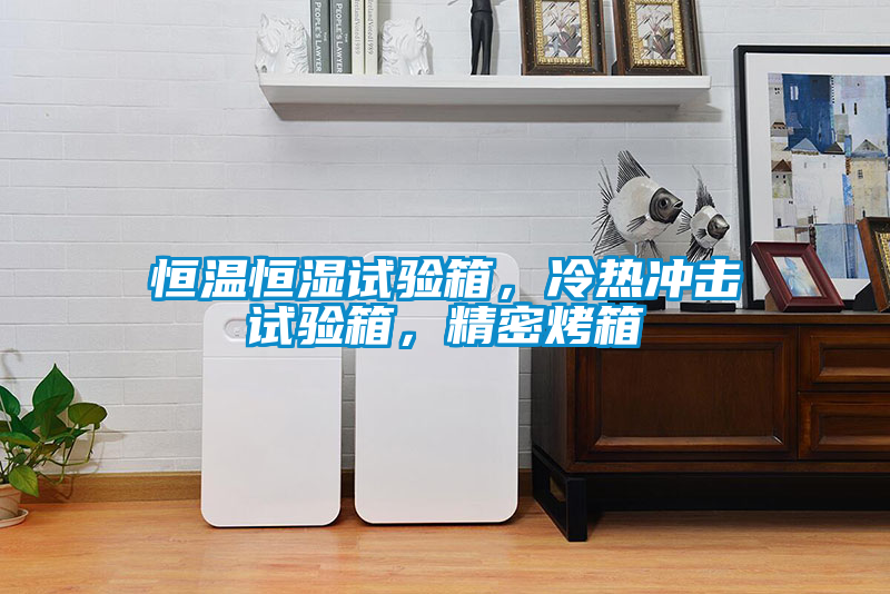恒溫恒濕試驗箱，冷熱沖擊試驗箱，精密烤箱