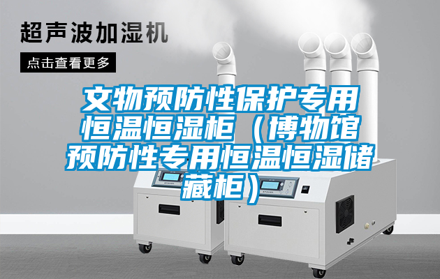 文物預(yù)防性保護專用恒溫恒濕柜（博物館預(yù)防性專用恒溫恒濕儲藏柜）