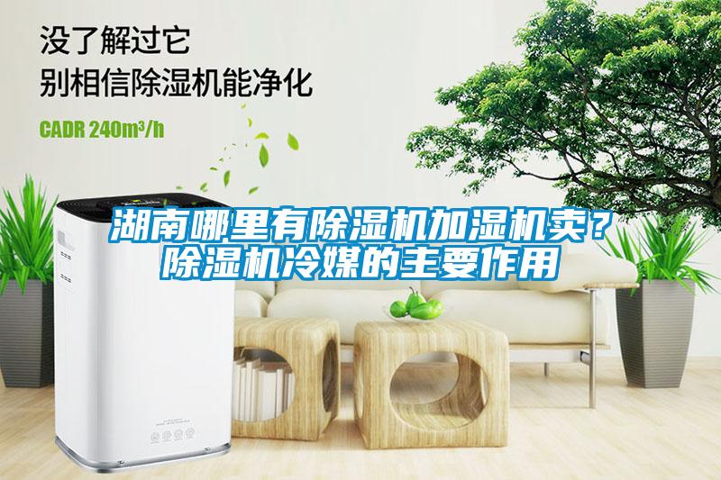 湖南哪里有除濕機加濕機賣？除濕機冷媒的主要作用