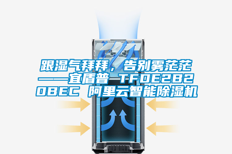 跟濕氣拜拜，告別霧茫茫——宜盾普 TFDE2B20BEC 阿里云智能除濕機(jī)