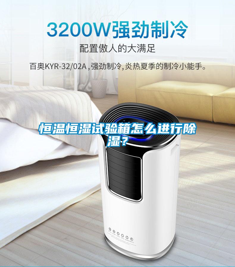 恒溫恒濕試驗箱怎么進(jìn)行除濕？