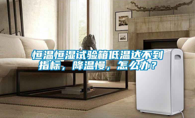 恒溫恒濕試驗(yàn)箱低溫達(dá)不到指標(biāo)，降溫慢，怎么辦？