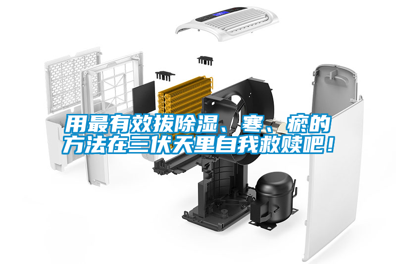 用最有效拔除濕、寒、瘀的方法在三伏天里自我救贖吧！