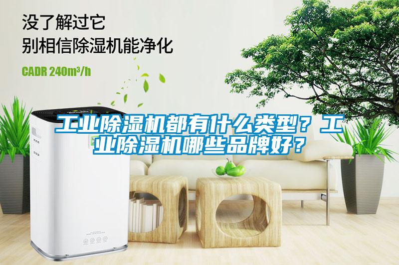 工業(yè)除濕機都有什么類型？工業(yè)除濕機哪些品牌好？