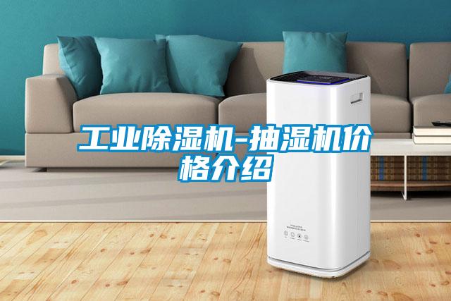 工業(yè)除濕機-抽濕機價格介紹