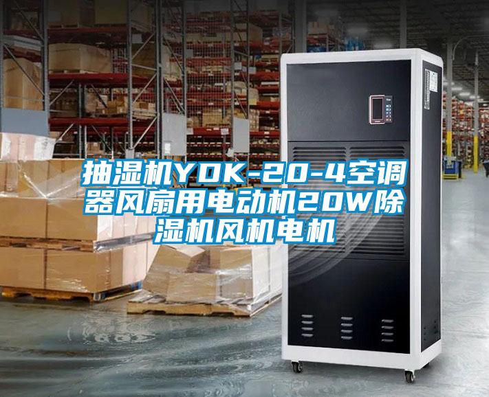 抽濕機(jī)YDK-20-4空調(diào)器風(fēng)扇用電動機(jī)20W除濕機(jī)風(fēng)機(jī)電機(jī)