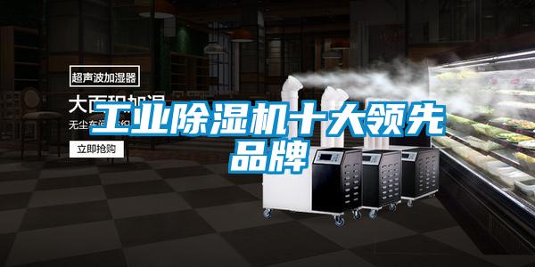 工業(yè)除濕機十大領先品牌